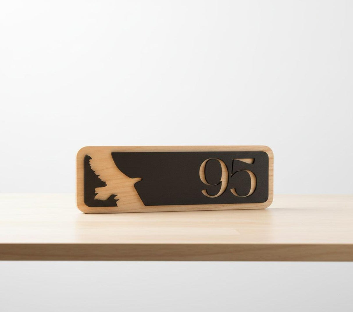 Custom Modern House Address Signs